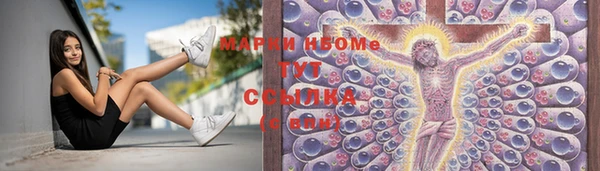 дмт Краснослободск