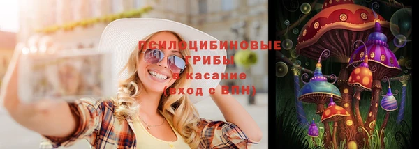 дмт Краснослободск