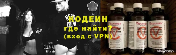 дмт Краснослободск