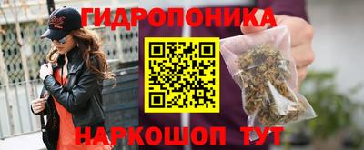 spice Аргун