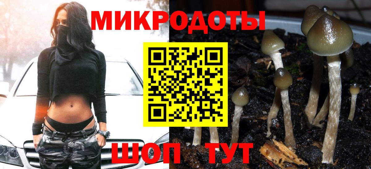 Галлюциногенные грибы ЛСД  купить закладку  Галлюциногенные грибы прущие грибы  Всеволожск 