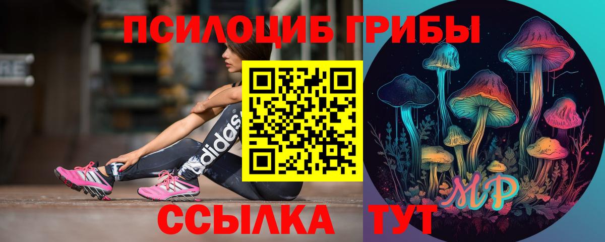 Псилоцибиновые грибы GOLDEN TEACHER Всеволожск