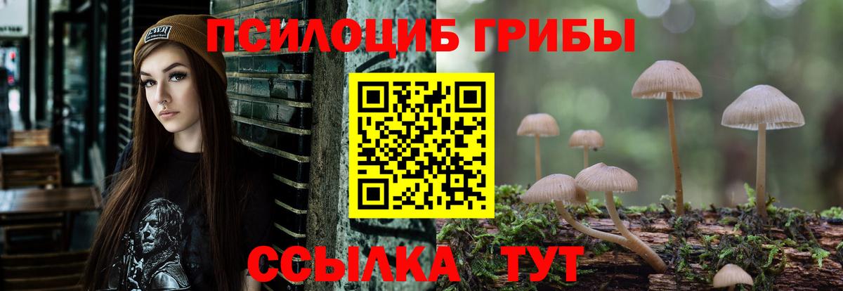 Псилоцибиновые грибы мицелий  Вход с VPN  Всеволожск 